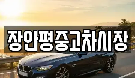 서울 중구 정동 중고차매매 전문 장안평중고차시장
