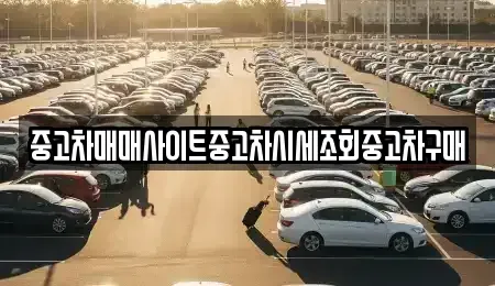 서울 중구 정동 중고차매매 전문 중고차매매사이트중고차시세조회중고차구매