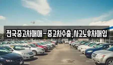 서울 중구 정동 중고차매입 전문 전국중고차매매-중고차수출,사고노후차매입