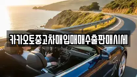서울 중구 정동 중고차매입 전문 카카오토중고차매입매매수출판매시세