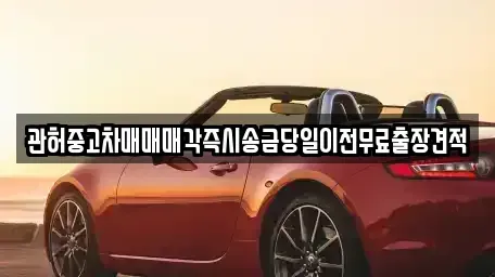 서울 중구 중림동 중고차 전문 관허중고차매매매각즉시송금당일이전무료출장견적