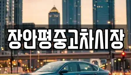 서울 중구 중림동 중고차 전문 장안평중고차시장