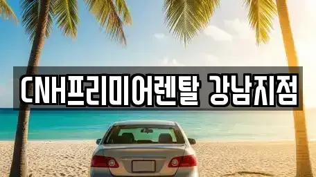 서울특별시 강남구 논현동 렌트카 전문 CNH프리미어렌탈 강남지점