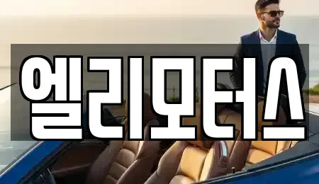 서울특별시 강남구 논현동 렌트카 전문 엘리모터스