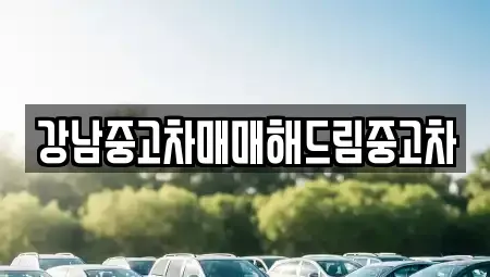서울특별시 강남구 논현동 중고차 전문 강남중고차매매해드림중고차