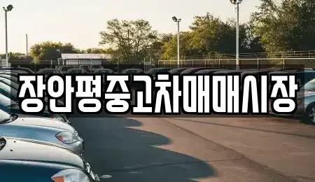 서울특별시 강남구 논현동 중고차 전문 장안평중고차매매시장