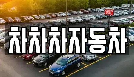 서울특별시 강남구 논현동 중고차 전문 차차차자동차
