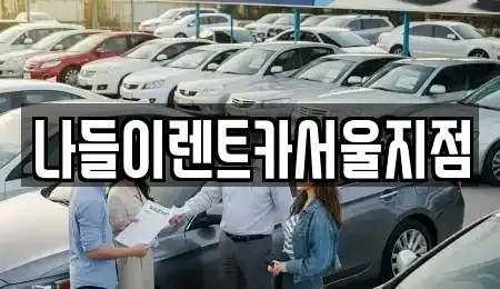 서울특별시 강남구 청담동 렌트카 전문 나들이렌트카서울지점