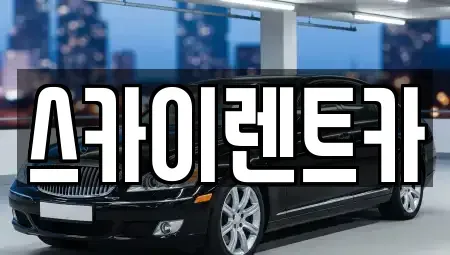 서울특별시 강남구 청담동 렌트카 전문 스카이렌트카