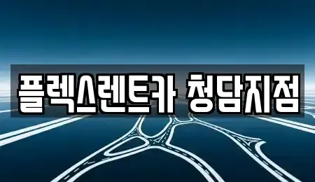 서울특별시 강남구 청담동 렌트카 전문 플렉스렌트카 청담지점