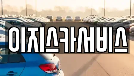 서울특별시 강남구 청담동 중고차매매 전문 이지스카서비스