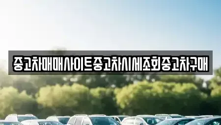 서울특별시 강남구 청담동 중고차매매,단기렌트카,중고차매입,장기렌트카,중고차,렌트카