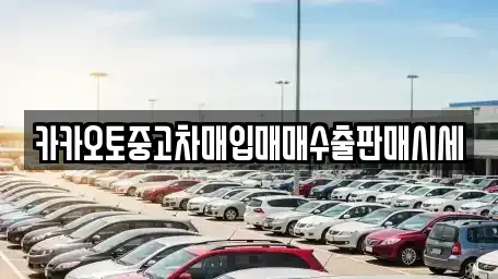 서울특별시 강남구 청담동 중고차매매 전문 카카오토중고차매입매매수출판매시세