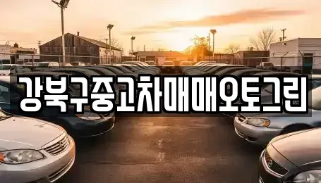 서울특별시 강북구 미아동 중고차매매,단기렌트카,중고차매입,장기렌트카,중고차,렌트카