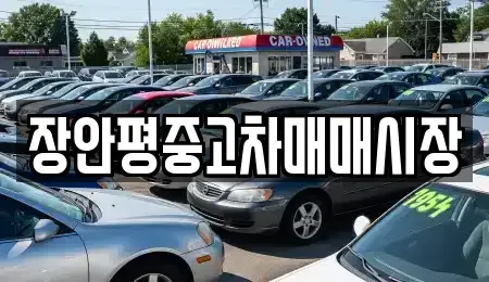 서울특별시 강북구 미아동 중고차매매 전문 장안평중고차매매시장