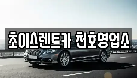 서울특별시 광진구 광장동 단기렌트카 전문 초이스렌트카 천호영업소