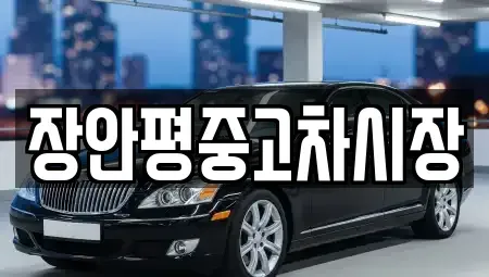 서울특별시 광진구 광장동 중고차 전문 장안평중고차시장