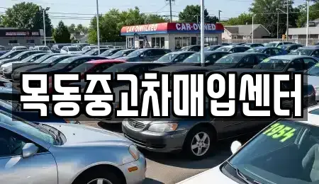 서울특별시 구로구 고척동 중고차매입 전문 목동중고차매입센터