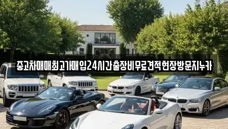 서울특별시 구로구 고척동 중고차매입 전문 중고차매매최고가매입24시간출장비무료견적현장방문지누카