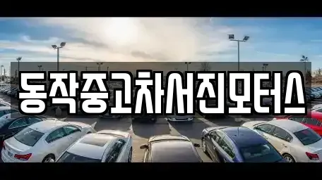 서울특별시 동작구 상도동 중고차 전문 동작중고차서진모터스