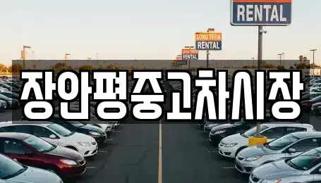 서울특별시 동작구 상도동 중고차 전문 장안평중고차시장