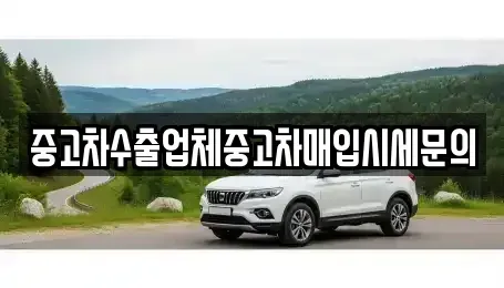 서울특별시 동작구 상도동 중고차매입 전문 중고차수출업체중고차매입시세문의
