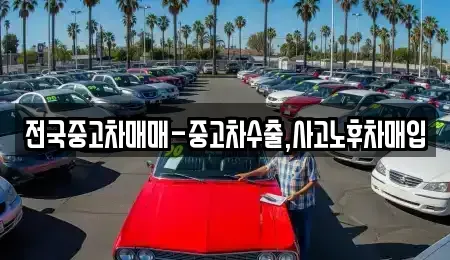 서울특별시 마포구 창전동 중고차매입 전문 전국중고차매매-중고차수출,사고노후차매입