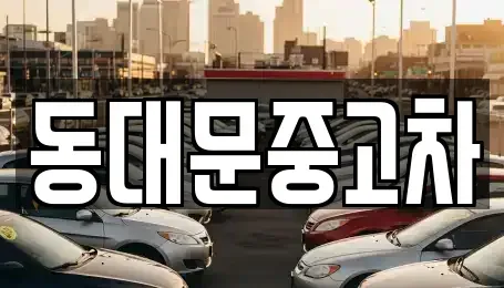 서울특별시 성북구 동선동2가 중고차 전문 동대문중고차