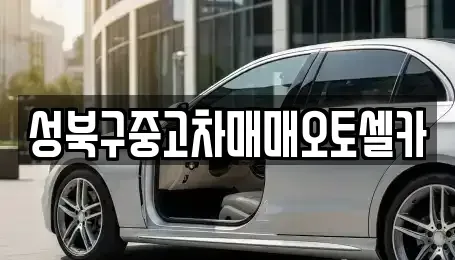 서울특별시 성북구 동선동2가 중고차 전문 성북구중고차매매오토셀카