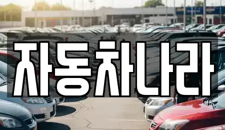 서울특별시 성북구 동선동2가 중고차 전문 자동차나라