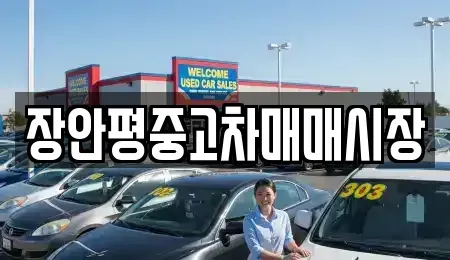 서울특별시 성북구 동선동2가 중고차 전문 장안평중고차매매시장