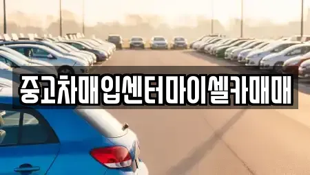 서울특별시 성북구 동선동2가 중고차매입 전문 중고차매입센터마이셀카매매