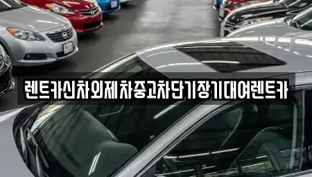 서울특별시 성북구 보문동5가 단기렌트카 전문 렌트카신차외제차중고차단기장기대여렌트카