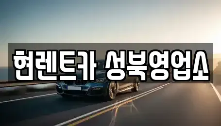 서울특별시 성북구 보문동5가 렌트카 전문 현렌트카 성북영업소