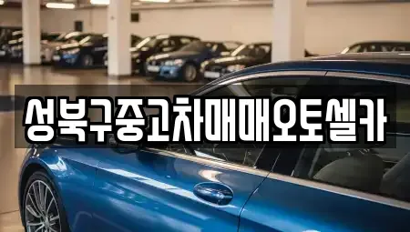 서울특별시 성북구 보문동5가 중고차매매 전문 성북구중고차매매오토셀카