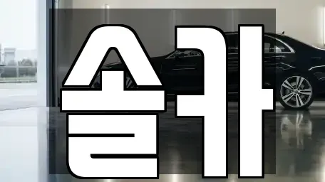 서울특별시 성북구 보문동5가 중고차매매,단기렌트카,중고차매입,장기렌트카,중고차,렌트카