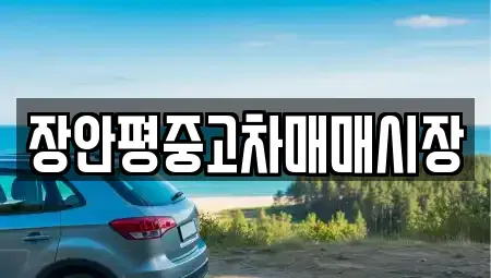 서울특별시 성북구 보문동5가 중고차매매 전문 장안평중고차매매시장