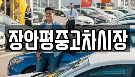 서울특별시 성북구 보문동5가 중고차매매 전문 장안평중고차시장