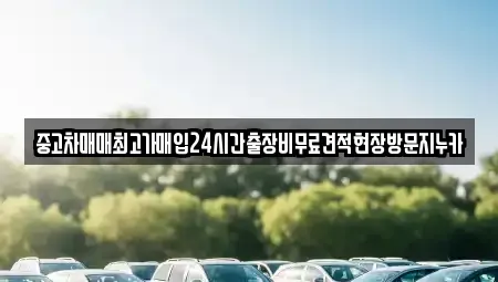 서울특별시 성북구 보문동5가 중고차매입 전문 중고차매매최고가매입24시간출장비무료견적현장방문지누카