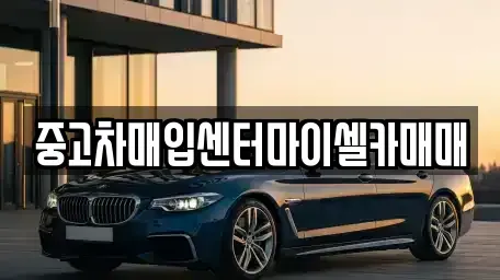 서울특별시 성북구 보문동5가 중고차매입 전문 중고차매입센터마이셀카매매