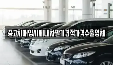 서울특별시 성북구 보문동5가 중고차매입 전문 중고차매입시세내차팔기견적가격수출업체