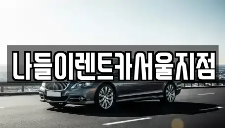 서울특별시 성북구 삼선동5가 렌트카 전문 나들이렌트카서울지점