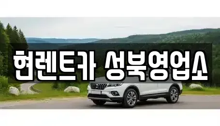 서울특별시 성북구 삼선동5가 렌트카 전문 현렌트카 성북영업소