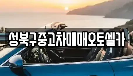 서울특별시 성북구 삼선동5가 중고차 전문 성북구중고차매매오토셀카