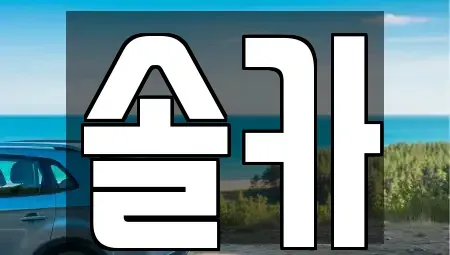 서울특별시 성북구 삼선동5가 중고차 전문 솔카