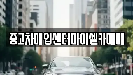 서울특별시 성북구 삼선동5가 중고차 전문 중고차매입센터마이셀카매매