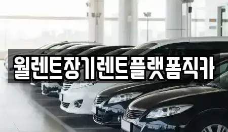 서울특별시 성북구 정릉동 장기렌트카 전문 월렌트장기렌트플랫폼직카