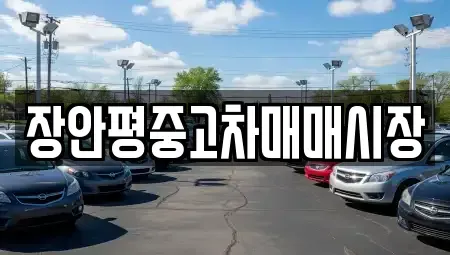 서울특별시 성북구 정릉동 중고차매매 전문 장안평중고차매매시장