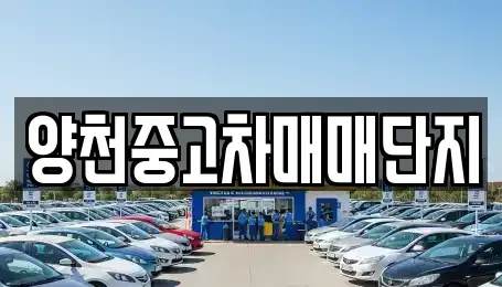 서울특별시 영등포구 문래동6가 중고차 전문 양천중고차매매단지