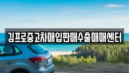 서울특별시 영등포구 문래동6가 중고차매입 전문 김프로중고차매입판매수출매매센터